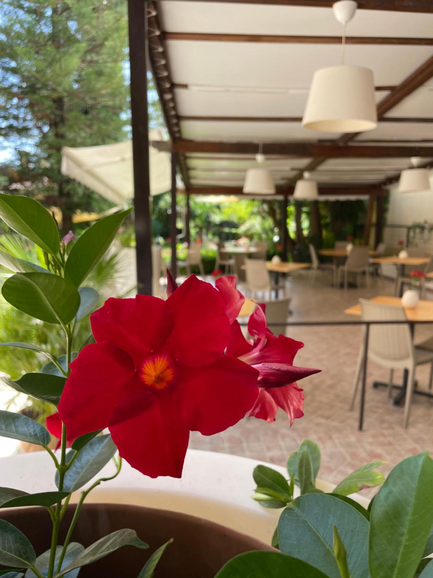 Apart-hotel Da Carmelo Palinuro